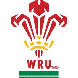 Ballon Rugby Flag Pays de Galles RWC 2019 / Gilbert