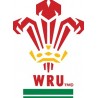 Ballon Rugby Flag Pays de Galles RWC 2015 / Gilbert