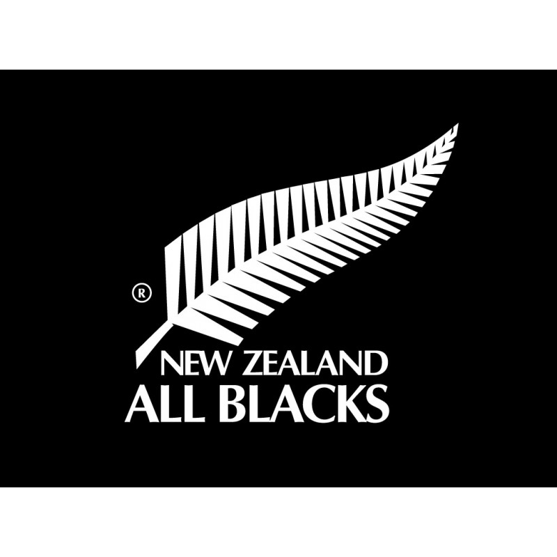 Maillot rugby Maori All Blacks enfant Adidas