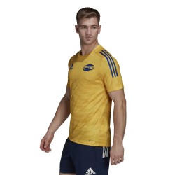 Camiseta segunda Highlanders Primeblue 2021 / adidas