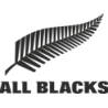 Porte-clefs ballon en mousse All-Blacks / Gilbert