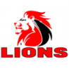 Camiseta rugby primera Lions 2024 / Macron