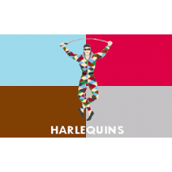 Harlequins rugby keyring / Gilbert