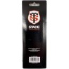 2 Stylos bille Toulouse Rugby / Stade Toulousain