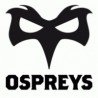 Ballons Rugby  Ospreys / Gilbert 