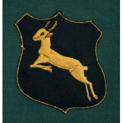 Maillot Rugby Afrique du Sud 1906 / Sports d'Epoque