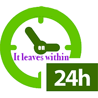leaves24h.gif  width=